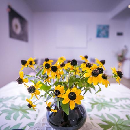 Przytulne Poddasze Přemyšl Exteriér fotografie