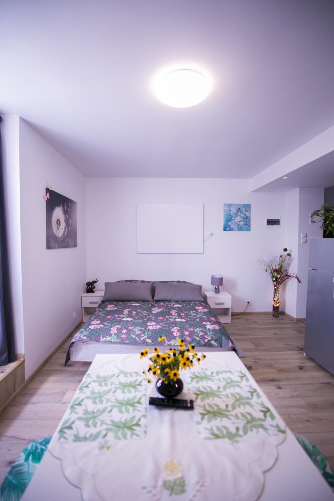 Przytulne Poddasze Přemyšl Exteriér fotografie